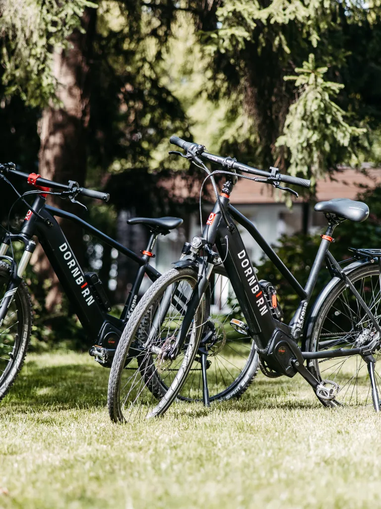 E-Bikes Krone Dornbirn